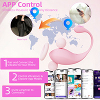 Erwachsenen-Sexspielzeug Tragbarer Vibrator Weiblicher Masturbator Klitoris-Stimulator 12-Frequenz-Vibration APP Drahtlose Fernbedienung