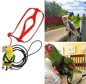 สายจูงนกแบบปรับได้สายรัดสำหรับฝึกนกบินสำหรับสัตว์เลี้ยงและนกเดิน - Product Image 3