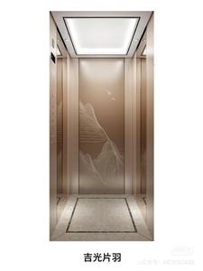 Lift penumpang traksi tanpa gigi ramah lingkungan hemat ruang keselamatan Tinggi lift rumah tanpa celah - Product Image 4