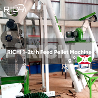 Ligne de production de machines à granulés d'aliments pour animaux RICHI Chine - Ligne complète de petites machines à granulés d'aliments pour animaux personnalisées 1-2t/h