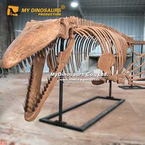 Squelette <span class=keywords><strong>de</strong></span> dinosaure mosasaure suspendu grandeur nature V - Product Image 1