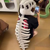 Penjualan Langsung Pabrik Mainan Boneka Kerangka Dinosaurus Kedatangan Baru Mainan Topi Kerangka Dinosaurus Lucu Mainan Boneka Tulang Dino Kreatif