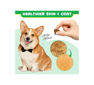 Probiotiques pour chiens sous forme de friandises molles aux ingrédients naturels pour renforcer l'immunité et la <span class=keywords><strong>protection</strong></span> contre les puces et les <span class=keywords><strong>tiques</strong></span> - Product Image 2