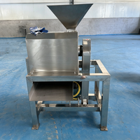 Industriële horizontale verticale klei-kloppende machine motor capaciteit sapcentrifuge voor tomaten verse jujubes Phyllanthus Emblica