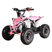 Mini quad 4x4 49cc à 2 temps pour enfants, à essence, démarrage électrique automatique, 2 roues motrices, certifié CE, roues de 6 pouces, vitesse maximale de 40 km/h