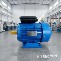 Moteur asynchrone monophasé à condensateur série YL 220V 0,75kW 5,5kW pour pompe à eau