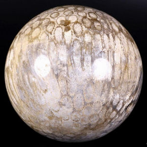 Esfera de Coral Fósil Natural Pulido al por Mayor, Piedra de Cristal Curativa para Decoración del Hogar y Regalos - Product Image 4