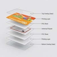 Carte-cadeau personnalisée en gros, valeur de 50 et 100 dollars, carte PVC prépayée avec code à gratter, code-barres, impression de logo, prix de gros
