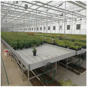 Sistema di coltivazione idroponica piantagione di ortaggi fattoria Indoor verticale