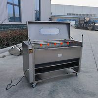 Industriële borstel aardappel schilmachine automatische elektrische was- en schilmachine voor taro, yam, wortel, bieten en aardappel.
