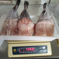 Queue de morue congelée IQF 200-500g, en promotion, à prix abordable