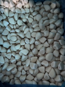 Ajo Congelado de Alta Calidad, Cosecha 2026, Certificado BRC(A) ISO22000, Ideal para Sazonar y Procesamiento Industrial de Alimentos - Product Image 6