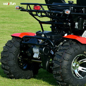 Nuovo Veicolo Fuoristrada <span class=keywords><strong>2026</strong></span> Mini Buggy a Benzina <span class=keywords><strong>Go</strong></span>-<span class=keywords><strong>Kart</strong></span> - Product Image 5