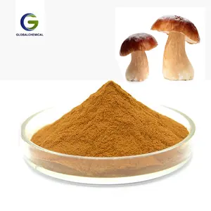 Venda quente Extrato de cogumelo Reishi em pó cogumelo orgânico café em pó 98% cogumelo de qualidade alimentar