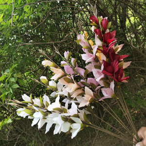 Meiyu Craft <b>Flowers</b> Single Phalaenopsis Gladiolus Silk <b>Flower</b> 30cm-100cm Wedding Decoration <b>Artificial</b> <b>Flower</b> Home Decor - Product Image 3