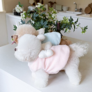 Robe à ailes mignonne pour petits chiens et chats, vêtements de fête pour anniversaire et vacances, disponible en tailles 2XS à 3XL pour le Newfoundland - Product Image 1