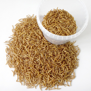 Hoge Voeding Gevogelte Kip Vogel Feed Gedroogde Meelworm 800G - Product Image 2