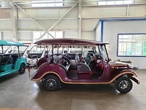 Autobús Turístico de Primera Clase con Volante a la Derecha/Izquierda, Homologado para Circular por la Calle, Motor de Lujo para Exteriores de 3000-5000W, 7-8 Asientos, en Venta - Product Image 4