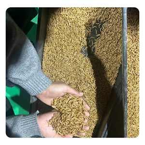 Kirlilik içermeyen yüksek kaliteli <span class=keywords><strong>Pet</strong></span> gıda mikrodalga kurutulmuş siyah sinek sinekler larva kuru gıda-kuşlar için sarı Mealworms - Product Image 1