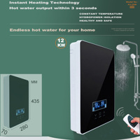 Chauffe-eau électrique instantané pour salle de bain, 12000W, télécommande, étanche IPX4, économie d'énergie, bon prix
