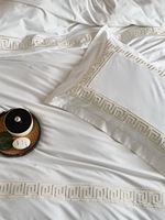 Parure de lit de luxe en coton égyptien brodé 3 pièces, respirante, absorbant la transpiration, douce pour la peau, durable, housse de couette et taies d'oreiller pour hôtel
