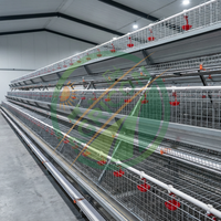 Cage automatique à 3 niveaux pour poulets en acier galvanisé, capacité de 120 oiseaux, système de collecte des œufs pour élevage avicole commercial