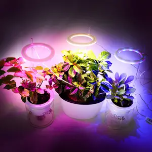 Ангел кольцо свет для выращивания DC5V USB Phytolamp для растения растут свет полный спектр для комнатных растений рассады дома цветок succulet