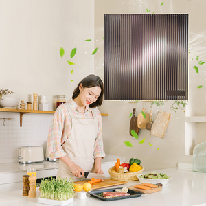 Ventiladores de ventilación silenciosos de moda <span class=keywords><strong>temporizador</strong></span> de retardo IP45, ventilador de ventilación, <span class=keywords><strong>extractor</strong></span> de <span class=keywords><strong>baño</strong></span> de escape - Product Image 4