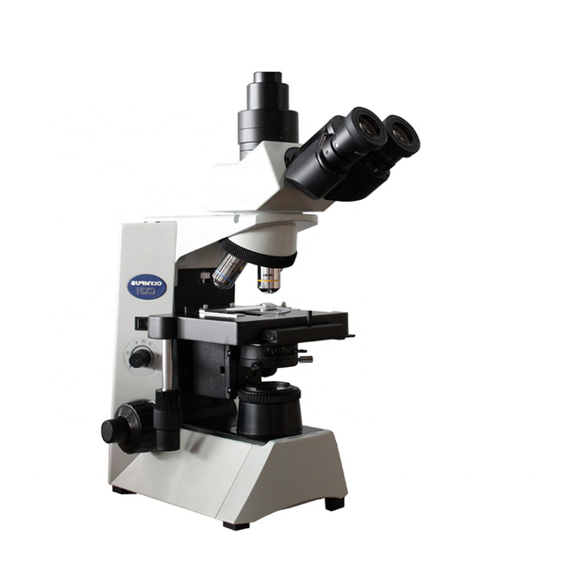 IN-CX31 Infinity Optical System Multi-purpose Binocular Olympus Microscope for Laboratory