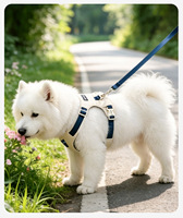 Ensemble laisse et harnais pour chien en tissu Oxford, style gilet, imperméable, anti-traction, pour chiens de taille moyenne et grande