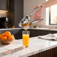 Presse-agrumes manuel robuste en acier inoxydable pour citrons et oranges, avec poignée ergonomique, pour pressage à froid – Vente en gros