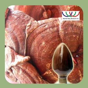 Экстракт грибов Lingzhi & <span class=keywords><strong>Reishi</strong></span>, сушеный кофе - Product Image 4