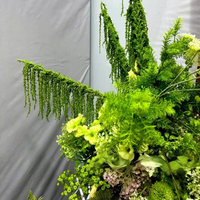 Feuillage Artificiel Vert en Soie à Suspendre au Mur pour Mariage, Thanksgiving, Décoration d'Hôtel 30cm 190cm Vente en Gros