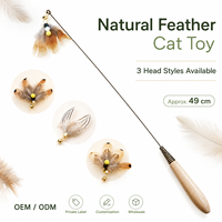Baguette de jeu polyvalente pour animaux de compagnie avec fil d'acier souple et pointes de plumes interchangeables multi-styles, jouets interactifs pour chats, jouet pour chat