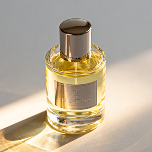 Flacons de parfum liquide en verre avec pompe pulvérisateur, rechargeables, écologiques, cylindriques, vides, 30 ml, 50 ml, 100 ml, atomiseur avec boîte cadeau - Product Image 1