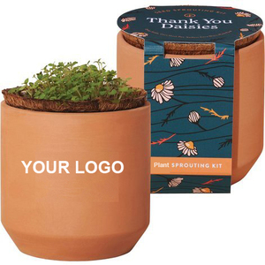 Vente chaude moderne 3000 Pc Kit de culture en <span class=keywords><strong>terre</strong></span> <span class=keywords><strong>cuite</strong></span> mignon petit Pot de fleur blanc avec merci marguerites pot de germination pour les jardins - Product Image 4
