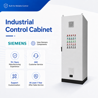 Caja de Distribución Eléctrica Industrial con Componentes Siemens para Control de Agitador de Lavadora