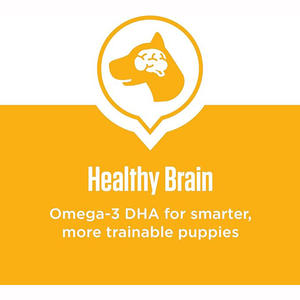 Alimento Seco para Cães com Sabor de Frango 100% Nutricionalmente Balanceado e Rico em Proteínas - Sem Conservantes Artificiais, Direto da Fábrica - Product Image 4