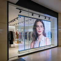 Şeffaf LED Ekran Görüntüsü Esnek Panel Yüksek Parlaklık P2 P3 LED Şeffaf Video Duvarı Alışveriş Merkezi Cam Vitrini için