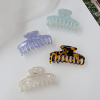 Pince à cheveux polyvalente en feuille d'acétate pour femmes avec design de niche Grand os de dragon Dos élégant Accessoire pour cheveux