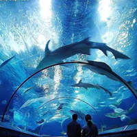Panneaux acryliques Perspex sur mesure de 30 mm à 800 mm pour aquarium extérieur, vente en gros par l'usine HUASHUAITE