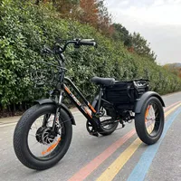 Meigi Usa Voorraad Ebike Trike 3 Wiel Elektrische Fiets Elektrische Driewieler Voor Vracht Levering Met 750W Bafang Motor