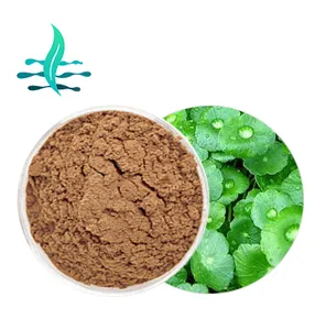 Chiết Xuất Centella Asiatica Mỹ Phẩm Chiết Xuất Asiaticoside Gotu Kola