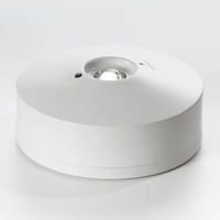 Plafonnier LED mural en plastique blanc froid 2,5W personnalisé en usine, batterie Ni-Cd, garantie 3 ans, pour bâtiment