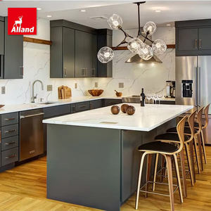 Fabriqué en Chine Panneau shaker avec finition peinture noir <span class=keywords><strong>graphite</strong></span> avec cadre Panier en bois dur Armure de parquet Armoires de cuisine - Product Image 1