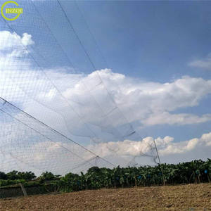 Redes para pájaros de alta calidad para atrapar pájaros canarios - Product Image 6