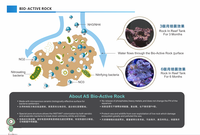 A.S. Acuario marino de roca bioactiva respetuoso con el medio ambiente, Arrecife de Coral, característica de paisajismo de cerámica de roca viva, BR21-S