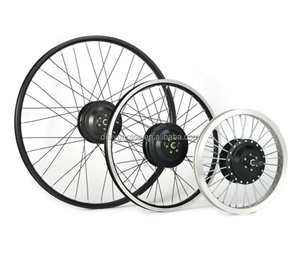 Moteur de vélo électrique de montagne à grande vitesse Disiyuan 350W 500W 1000W, pièces de vélo à pneus larges - Product Image 6