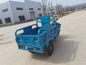 Hai Hàng 1.3 Mét Nhà Máy Bán Buôn Tùy Chỉnh Năng Lượng Mới Hành Khách Điện Xe Ba Bánh Và Vận Chuyển Hàng Hóa Xe Ba Bánh - Product Image 4