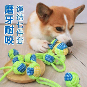 Jouet pour chien en corde de coton, résistant aux morsures, jouet à mâcher couineur pour chiot, pour Teddy Golden Retriever, fournitures pour animaux de compagnie - Product Image 4